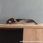 watermark-f39edb5a271645b006faf9bb62014569_0