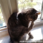 watermark-3ad5341a6eb091ad9f229320b0dc59c1_0