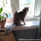 watermark-75bdcfbe0c3f3ee0f31bfc60663a1d6e_0