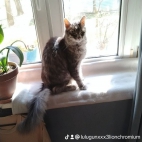 watermark-7bb4605d73cbabcf4d8b5cf43de95096_0