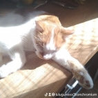 watermark-33d04f22c3bbfa8c39645fd23c35b4aa_0