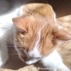 watermark-7ed18a8c037750e3d49ed6917ac9b0d2_0