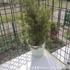 watermark-068e15d06153e8e3c51cad250befacc2_0