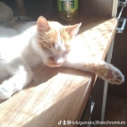 watermark-45fb6730bf2baa3dd211f7b69e7b44c6_0