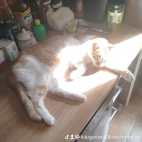 watermark-1efad8fb8bf68249bcb80441114df0f7_0
