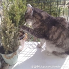 watermark-332b74f922f262839e3de473ba4922ad_0