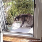 watermark-8cb99d8243eba22b2dfa1a58704b506b_0