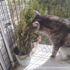 watermark-b591f3adb55a88038fd79f86fab9c4db_0