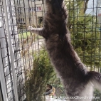 watermark-3685000c93f2910dacd871cb76bc9d77_0