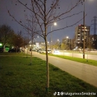 watermark-0f928865227d16e04f0334ad217eca9e_0