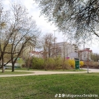 watermark-95376606a68ec605b335937ee59d1ccc_0