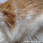 watermark-f92308338c4c47f9eb3905e470061e2a_0