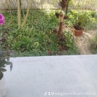 watermark-4884484cc8b8901aff75f31220646a55_0