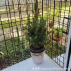 watermark-23a29d9a75f24b4810e6aa684aa4784c_0