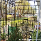watermark-fd105f6268813030aa193fb241b99c4c_0