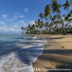 watermark-1ee7e342ce2f6480f65611f51595a2f3_0