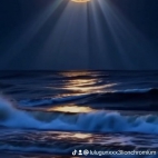 watermark-a4288e3d006f80ac055746dda90a3f23_0