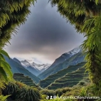 watermark-2ad531d7c926facf1b3f0fcdd645dee1_0