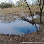 watermark-6423e2e10ea5ca20269e078a784e312c_0