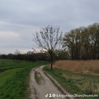 watermark-163df8db1791f4bb8e78de68e086217c_0