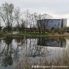 watermark-40ce46d9d295c824dde8a71a2db98caa_0