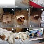 Screenshot_20260417_173003_com_zhiliaoapp_musically_MainActivity