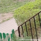 watermark-1546d9577f4d6f995e3efa59f6c61ab3_0