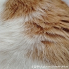 watermark-e5671f194e8c90a0f79cd24c1a8e5be5_0