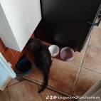 watermark-0b19b292ea4c641423d1f5faa5d4eda6_0