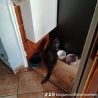 watermark-8e6b5709a62d2870efb415aa9b69846e_0