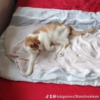 watermark-418b3a7a626d723b8fb313317c4e9e76_0