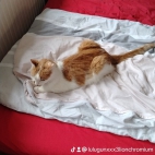 watermark-680ffd0b642ac75efc6a9161faffbe3e_0