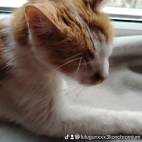watermark-0664c1807c1e14dd61c257710ad8c6ab_0