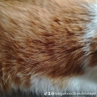 watermark-762f118673a58d4409129aa0876c8f42_0