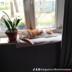 watermark-c29ab88870717ade5f3d17e11e3fb9f2_0