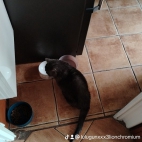 watermark-378846e53caa470f1def30580744d026_0