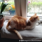watermark-176474473ccb8cfee4602b44eb356760_0