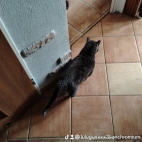 watermark-b14029dc4092dafae5f5787287f22590_0