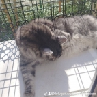 watermark-9902ce472c9e0e33ec3589776cf784da_0
