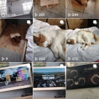 Screenshot_20260417_100059_com_zhiliaoapp_musically_MainActivity