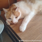 watermark-20b909584bf1c56412b16c4c11cf06f7_0