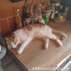 watermark-dbcae0178a06514d57a61f123c7f4560_0