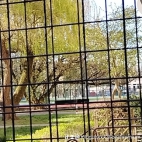 watermark-b42dbcfbc43f8853ca222f179f53e0dc_0