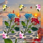 watermark-9770aff32f5688eec3c773a30b0f7fb6_0
