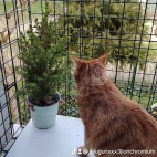 watermark-677907afe558b1f970b603d8bebb189f_0