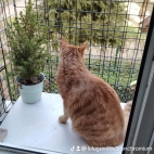watermark-71c17f66809cc7a3e70f14d2b02cc1cc_0