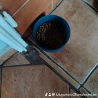 watermark-93228d8ba1be83018f337d1710f7572f_0