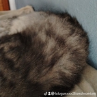 watermark-e8d54b58aefc1f361b6af3ca16c8194f_0