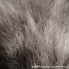 watermark-eddde98b06e871733bda2bfdd3a70356_0