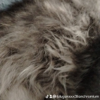 watermark-e5816fff1c378627d278bb3be6562208_0